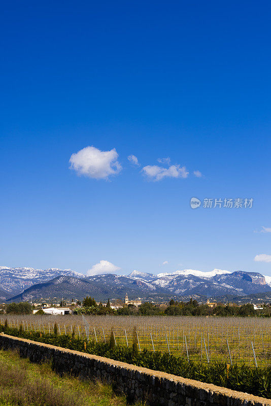 从远处看，小村庄Santa Maria del camí后面的雪山，前景是藤蔓植物